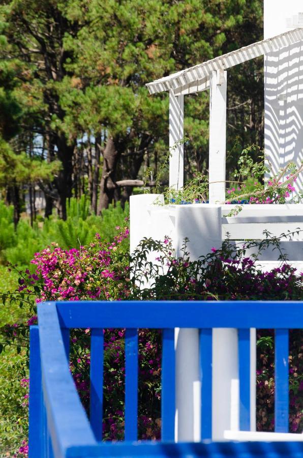 Kala Hotel Boutique Punta del Este Exterior photo
